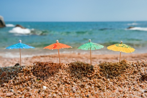 AdobeStock_27028928 (1)-1-1