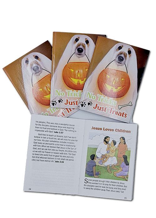 Glossy front cover plus inside pages of small, full-color booklets